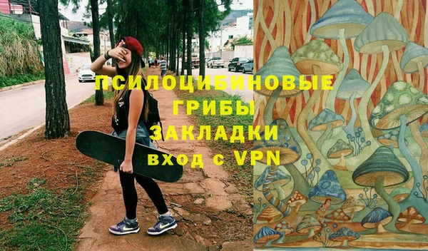 МДПВ Арсеньев
